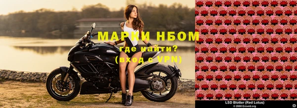 ECSTASY Навашино