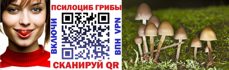 Псилоцибиновые грибы Psilocybe  Конаково 