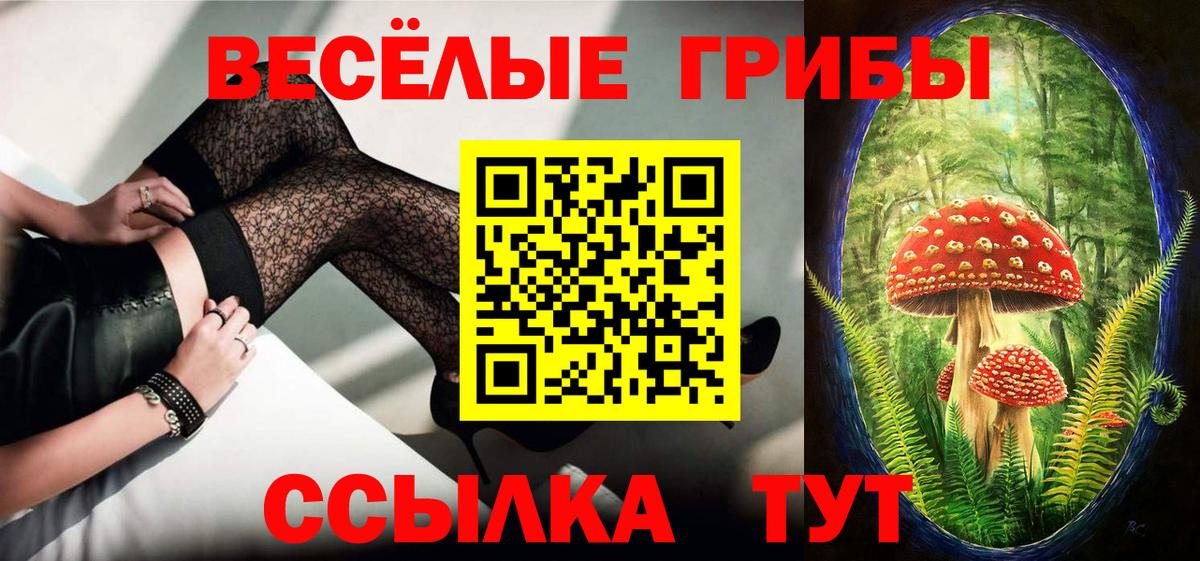 Галлюциногенные грибы прущие грибы Конаково