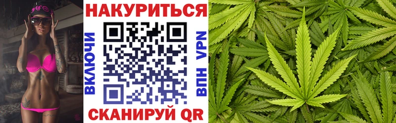 где продают Конаково Канабис сатива