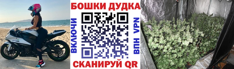 МАРИХУАНА индика Конаково